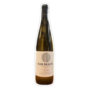 הר ברכה גוורצטרמינר 2021